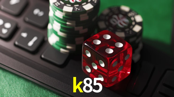 Security Systems k85